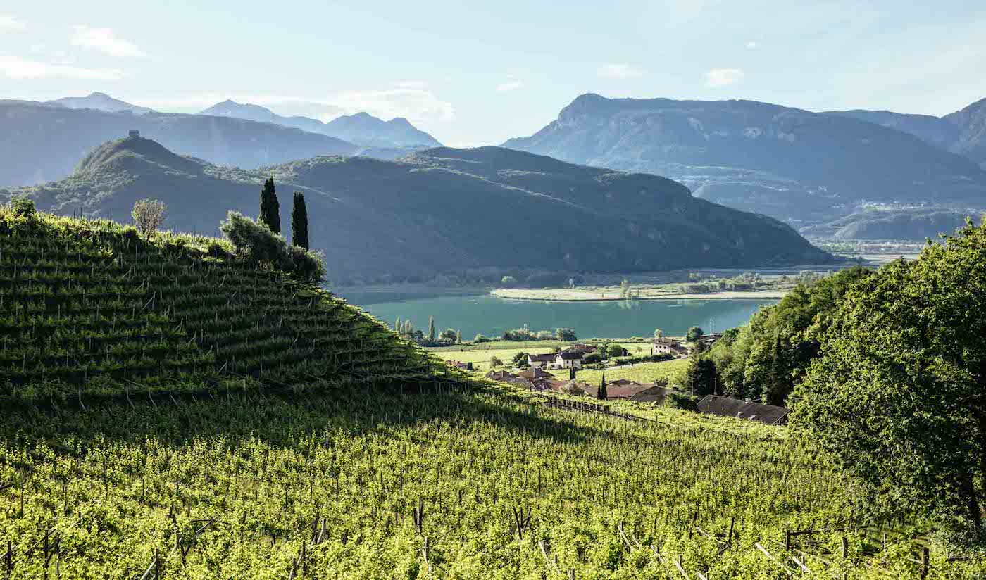 Read more about Lago di Caldaro DOC