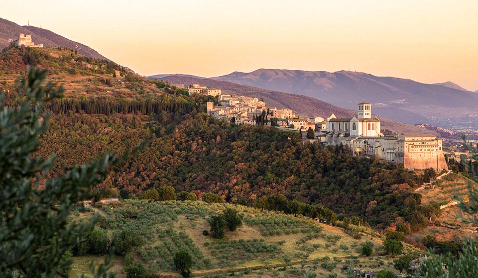 Read more about Assisi DOC