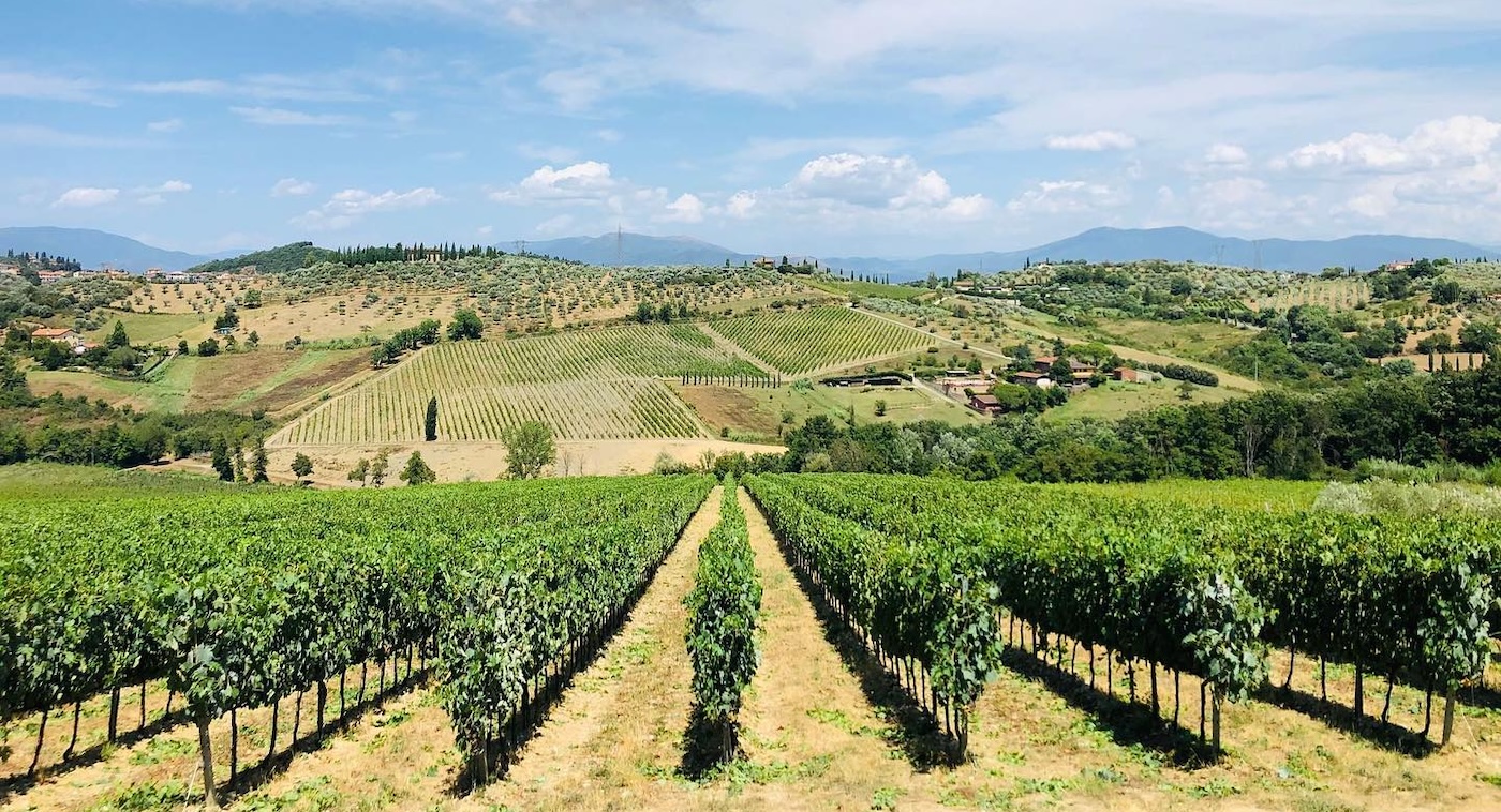 Read more about Barco Reale di Carmignano DOC