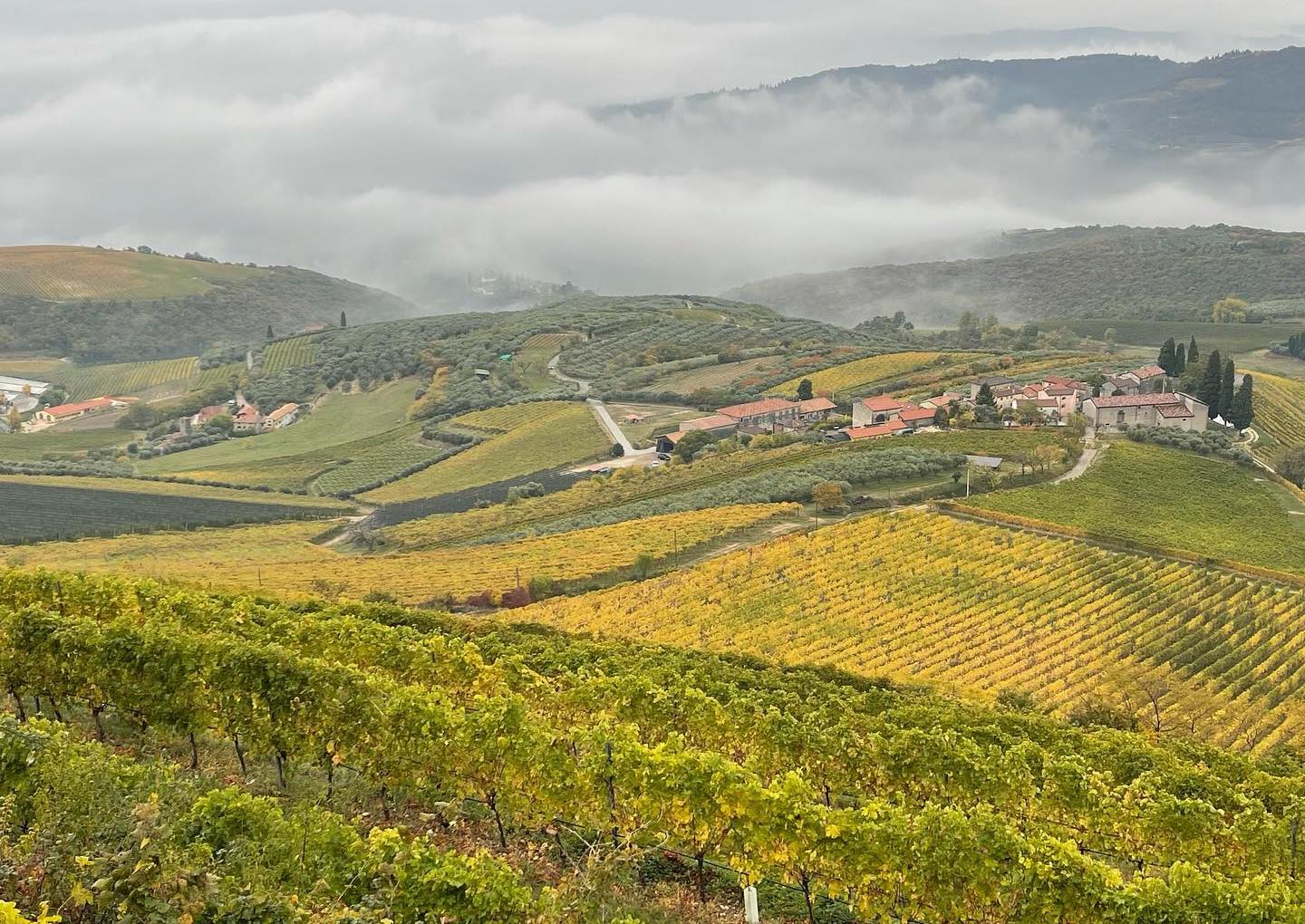 Read more about Verona IGP