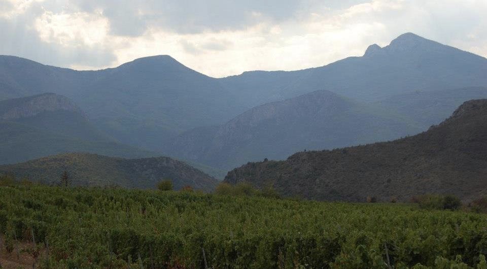 Brušani Winery