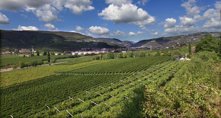 Cantina Valpantena