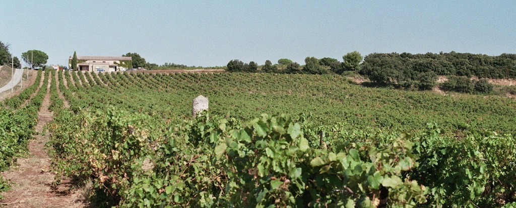 Château Le Devoy Martine