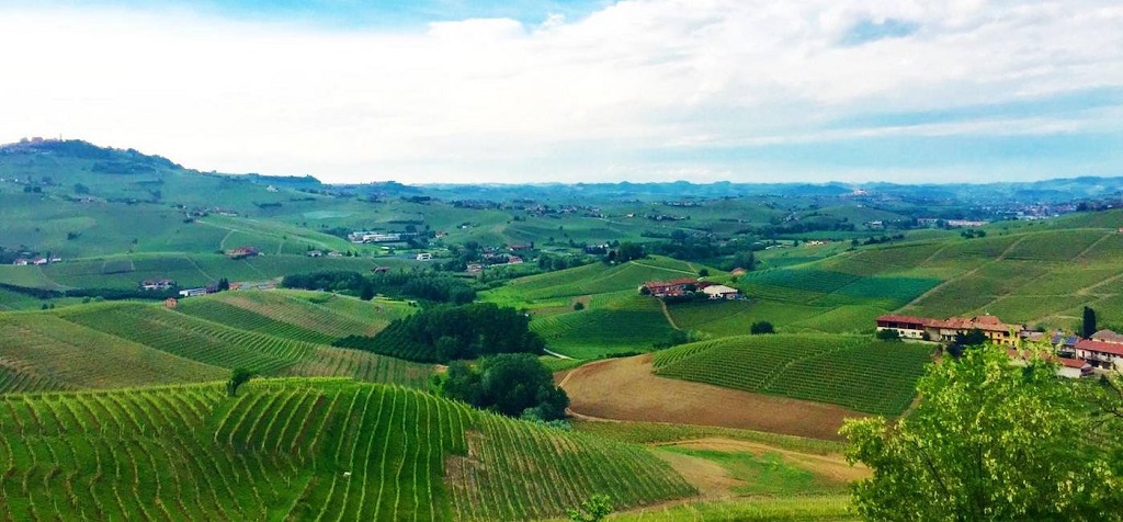 Azienda Agricola Giacomo Fenocchio