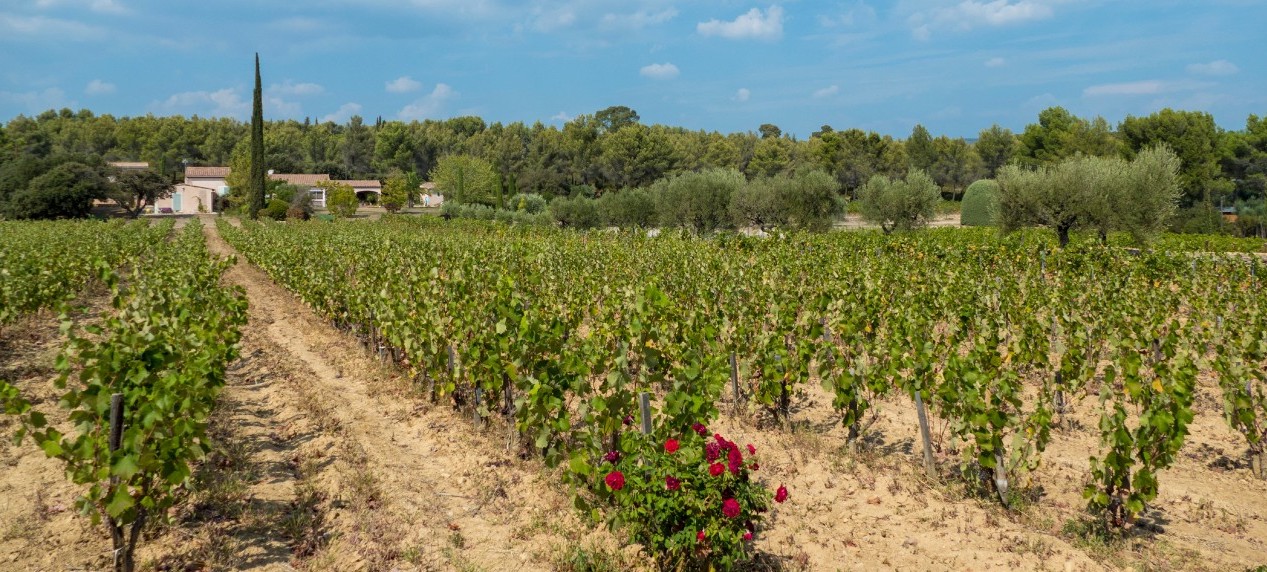 Domaine Antiane