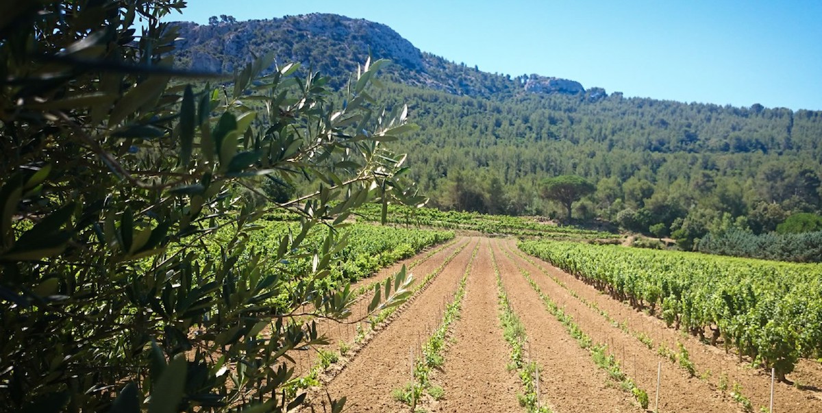 Domaine le Galantin