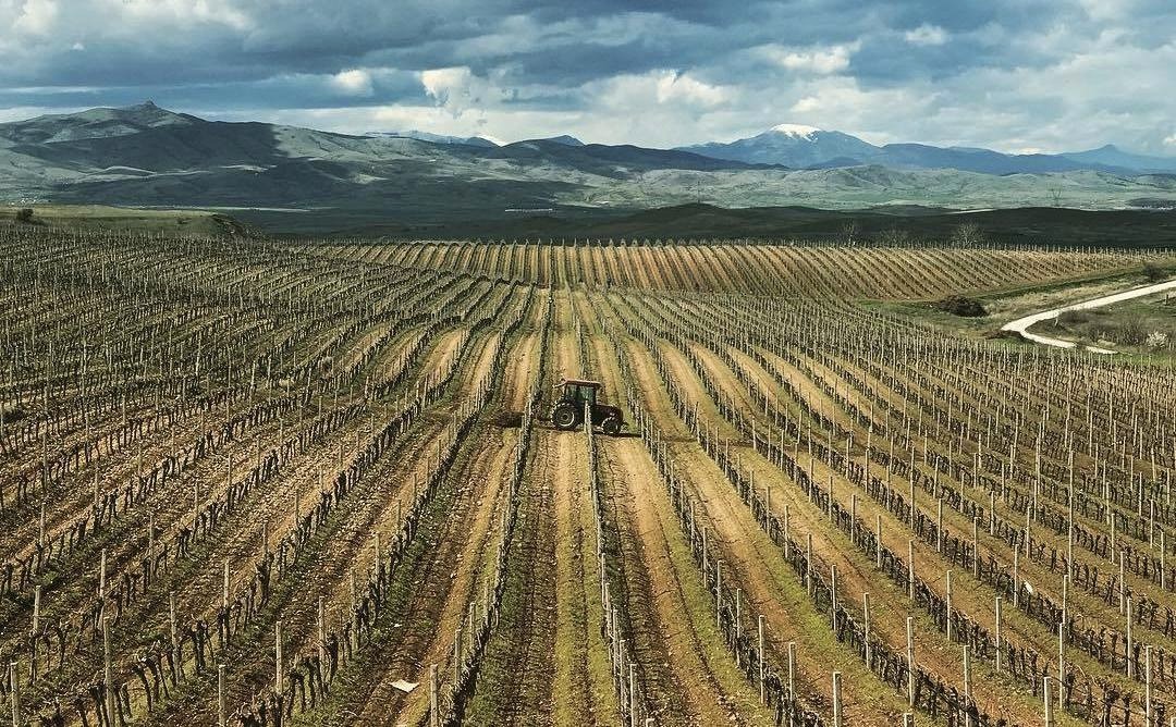 Bovin Winery