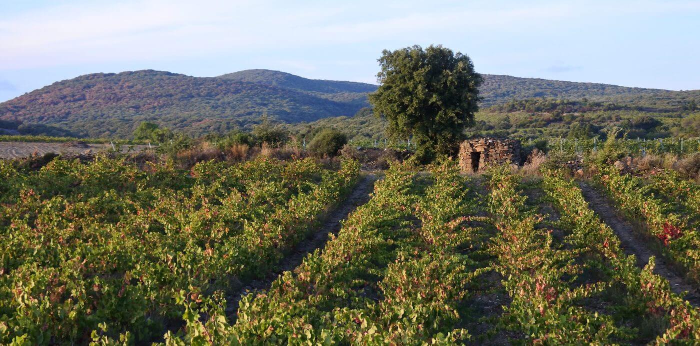 Domaine des Trinites
