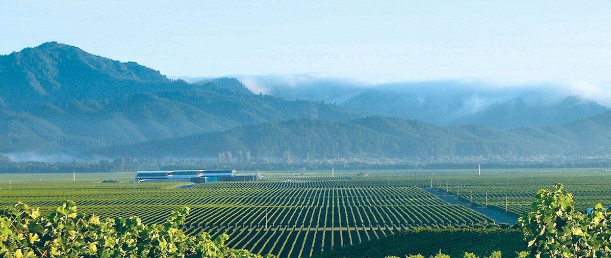 Oyster Bay Marlborough Winery