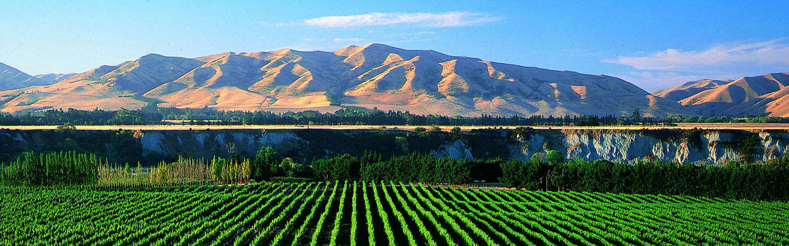 Saint Clair Family Estate