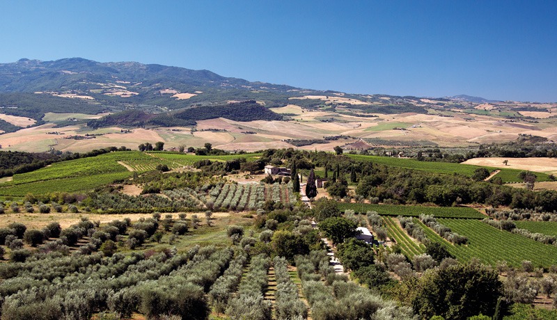 Tenuta di Sesta