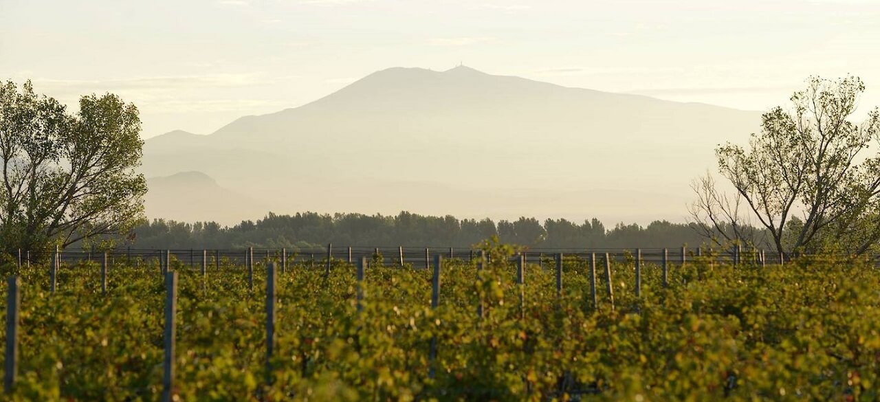 Domaine de la Janasse