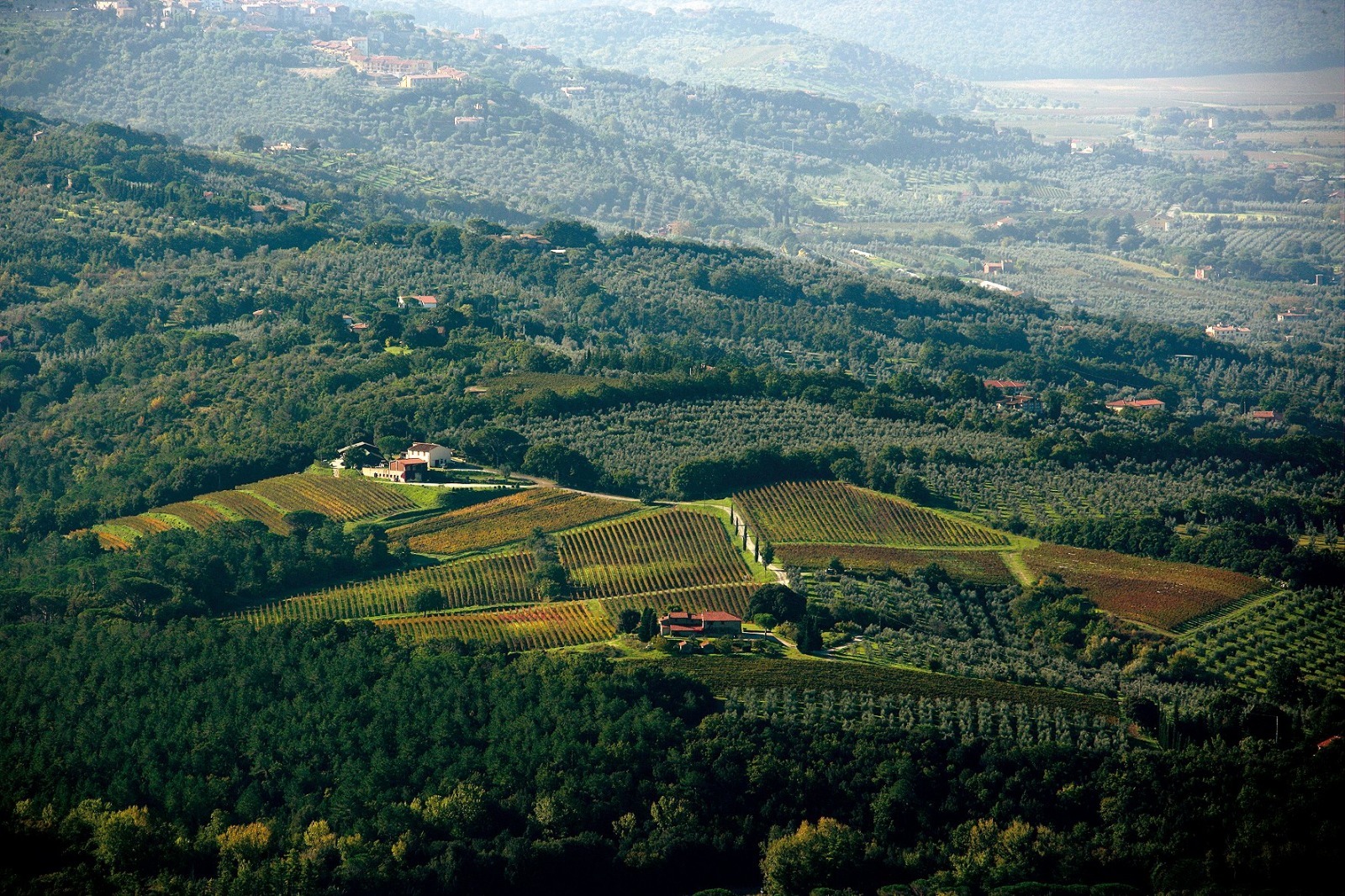 Podere Grattamacco