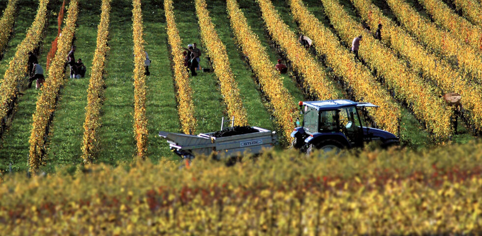 Domaine Les Hutins