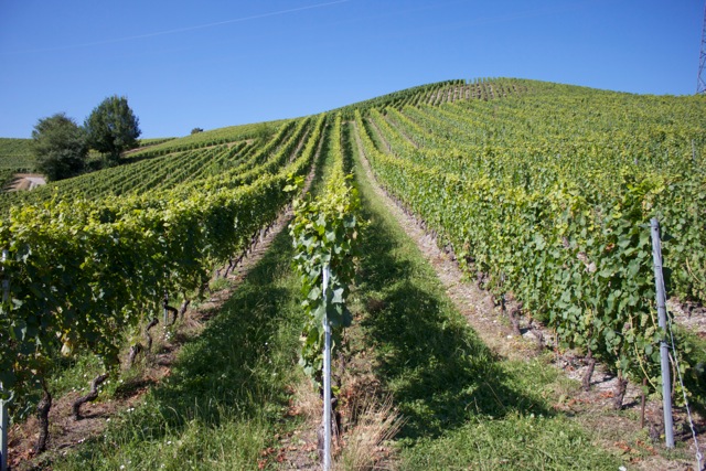 Domaine de la Printanière