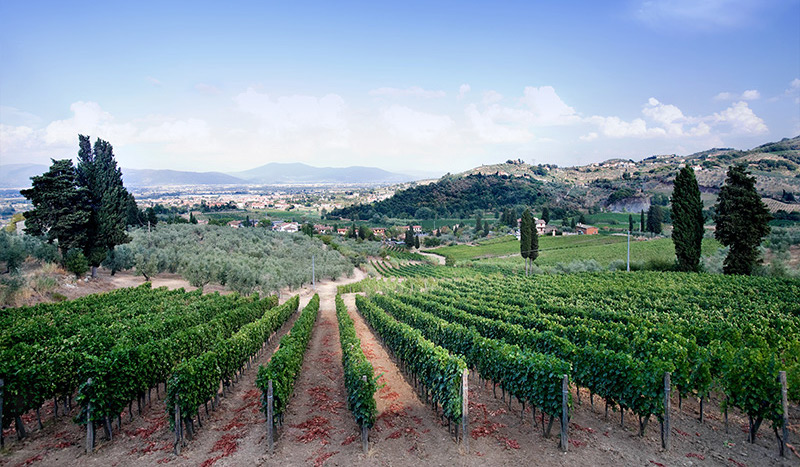 Podere Allocco