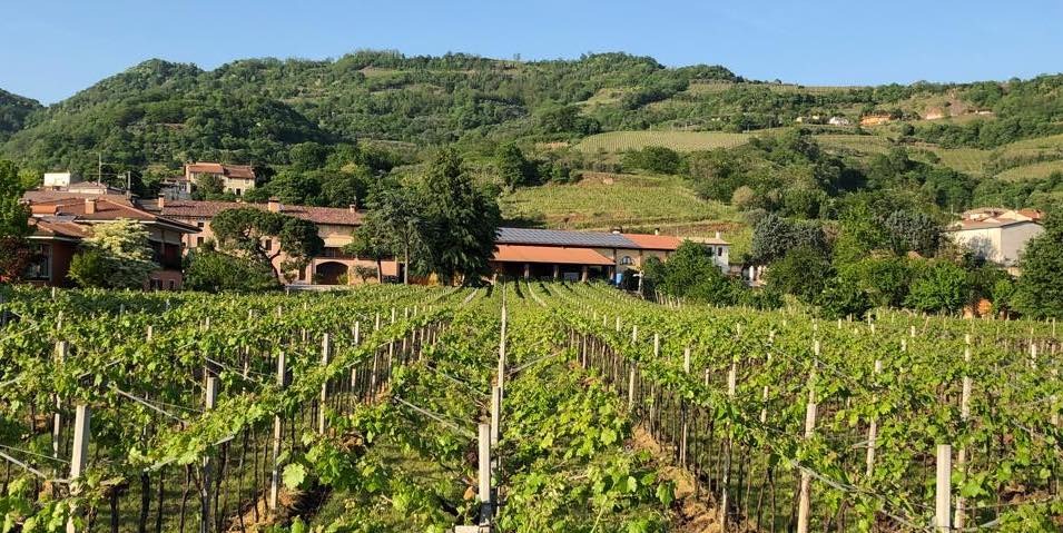 Cantina Franchetto