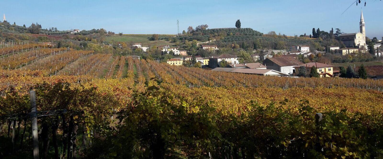 Azienda Agricola Nani