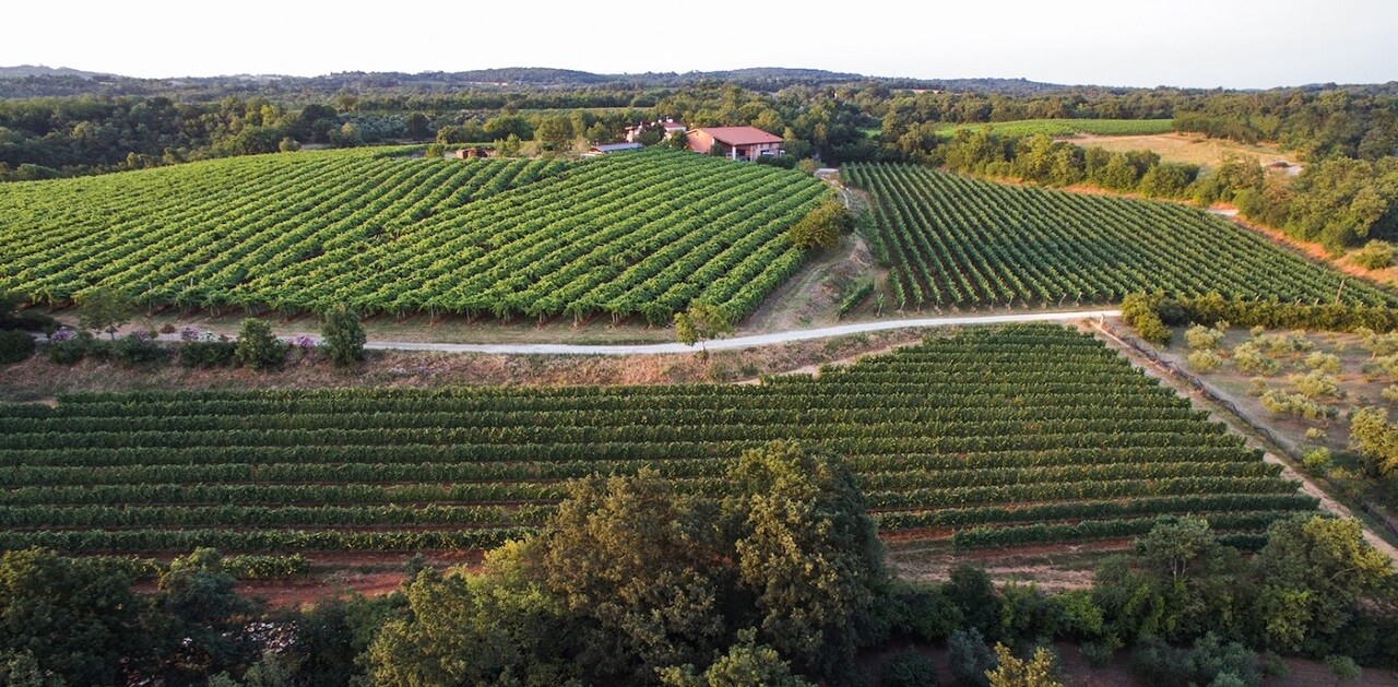 Azienda Agricola Cà Rovere