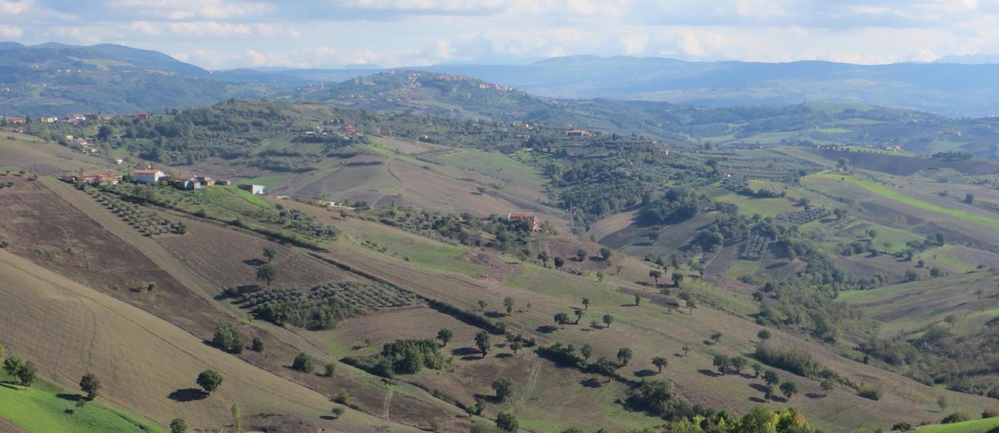 Azienda Agricola Orneta