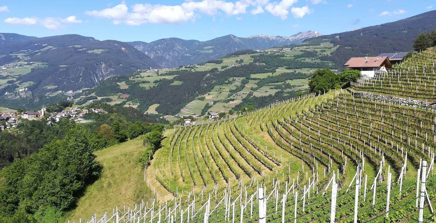 Cantina Valle Isarco