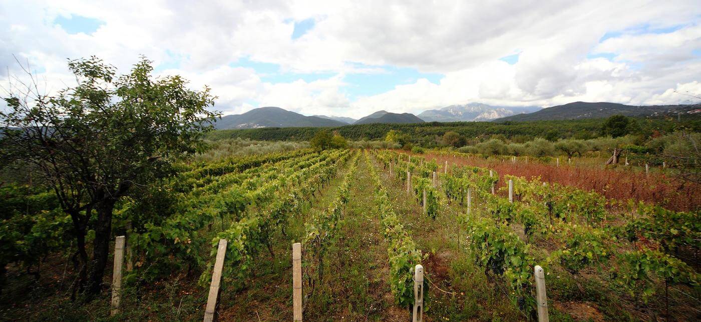 Campi Valerio