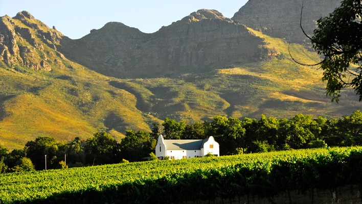 Dornier Wines