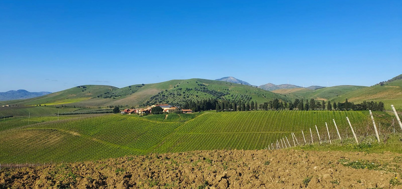 Azienda Agricola Spadafora