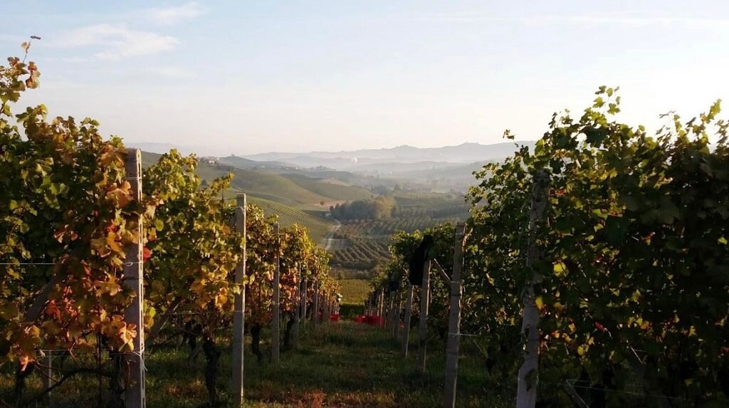 Cantina Mascarello Bartolo