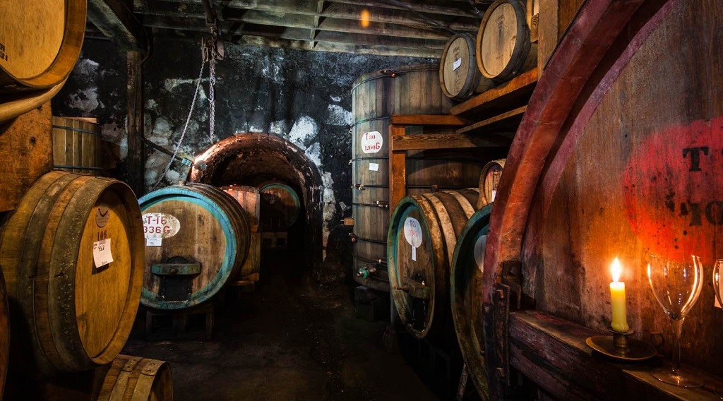 Mayacamas Vineyards