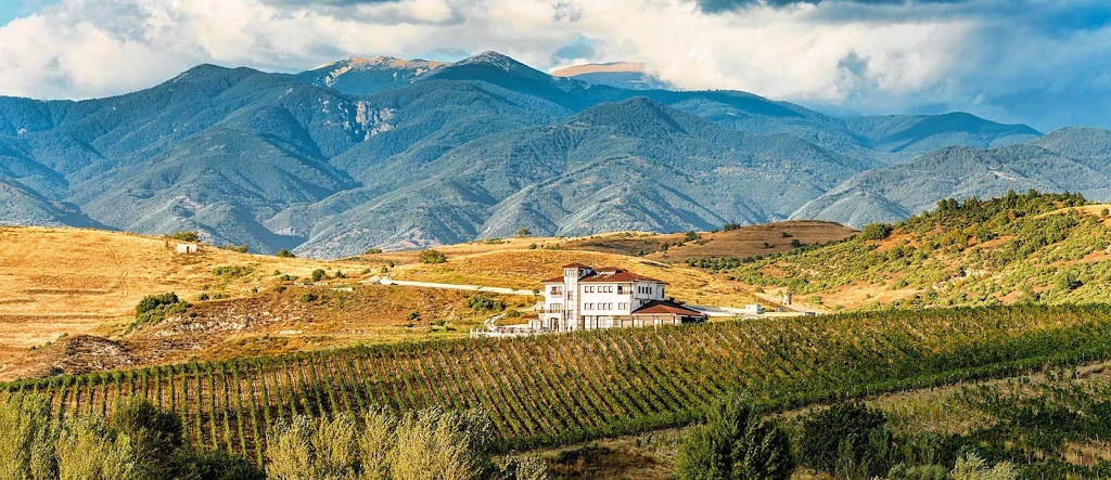 Villa Melnik