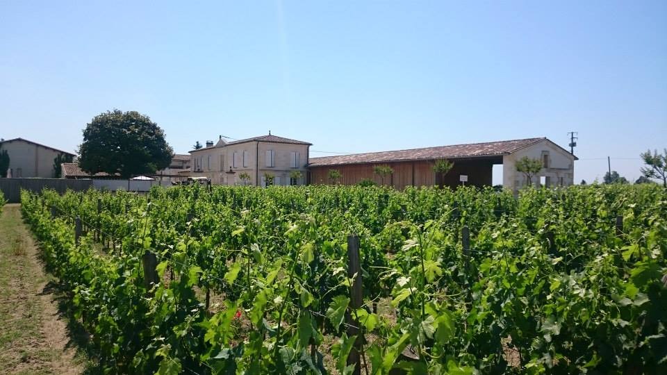 Château La Rose Figeac