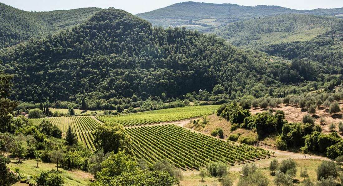 Tenuta Casadei