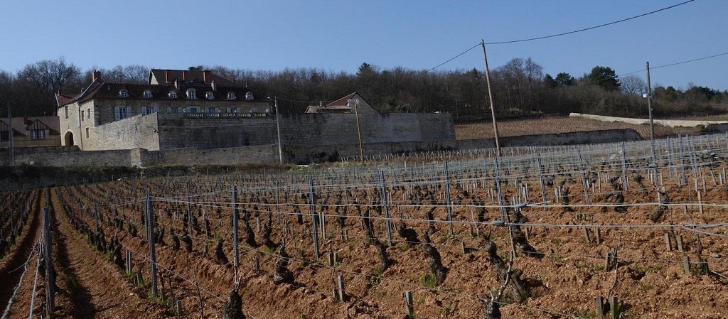 Domaine Bizot