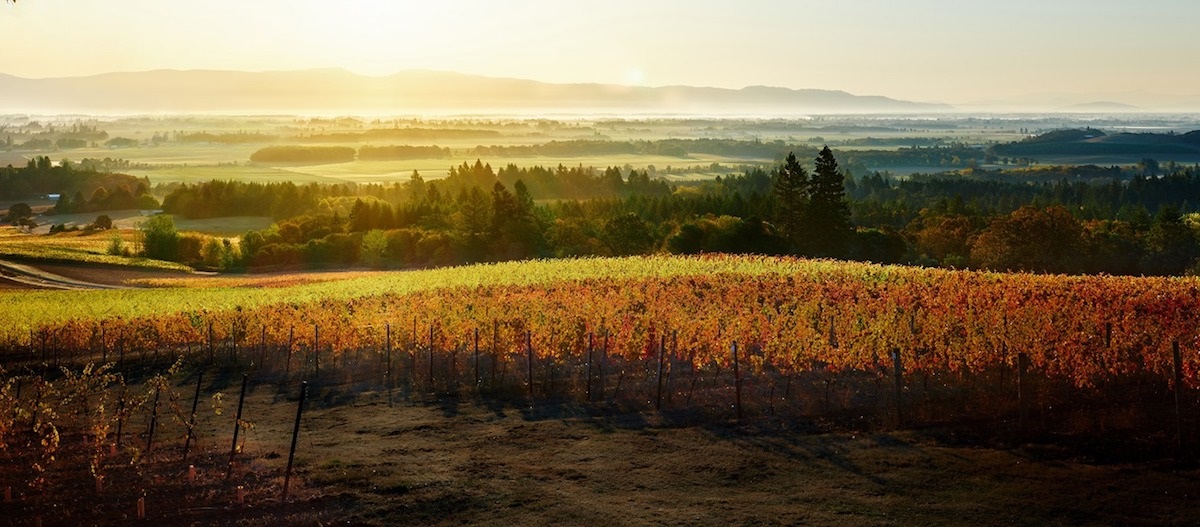 Benton-Lane Winery