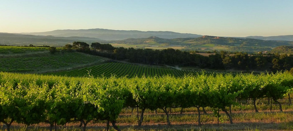 Domaine la Tuilière