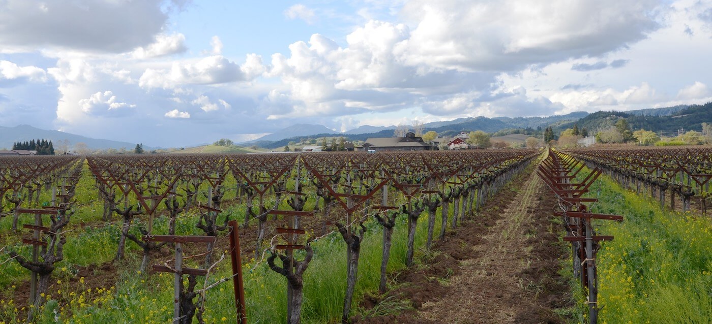 Frog's Leap Winery