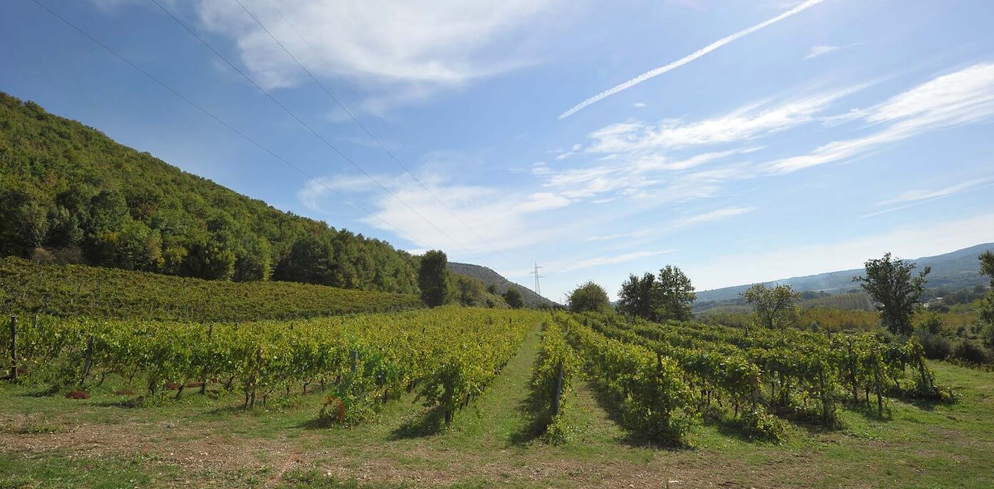 Vestini Campagnano