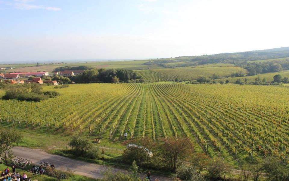Vinice-Hnanicev