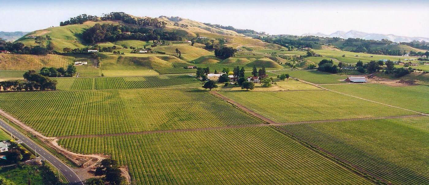 Te Mata Estate