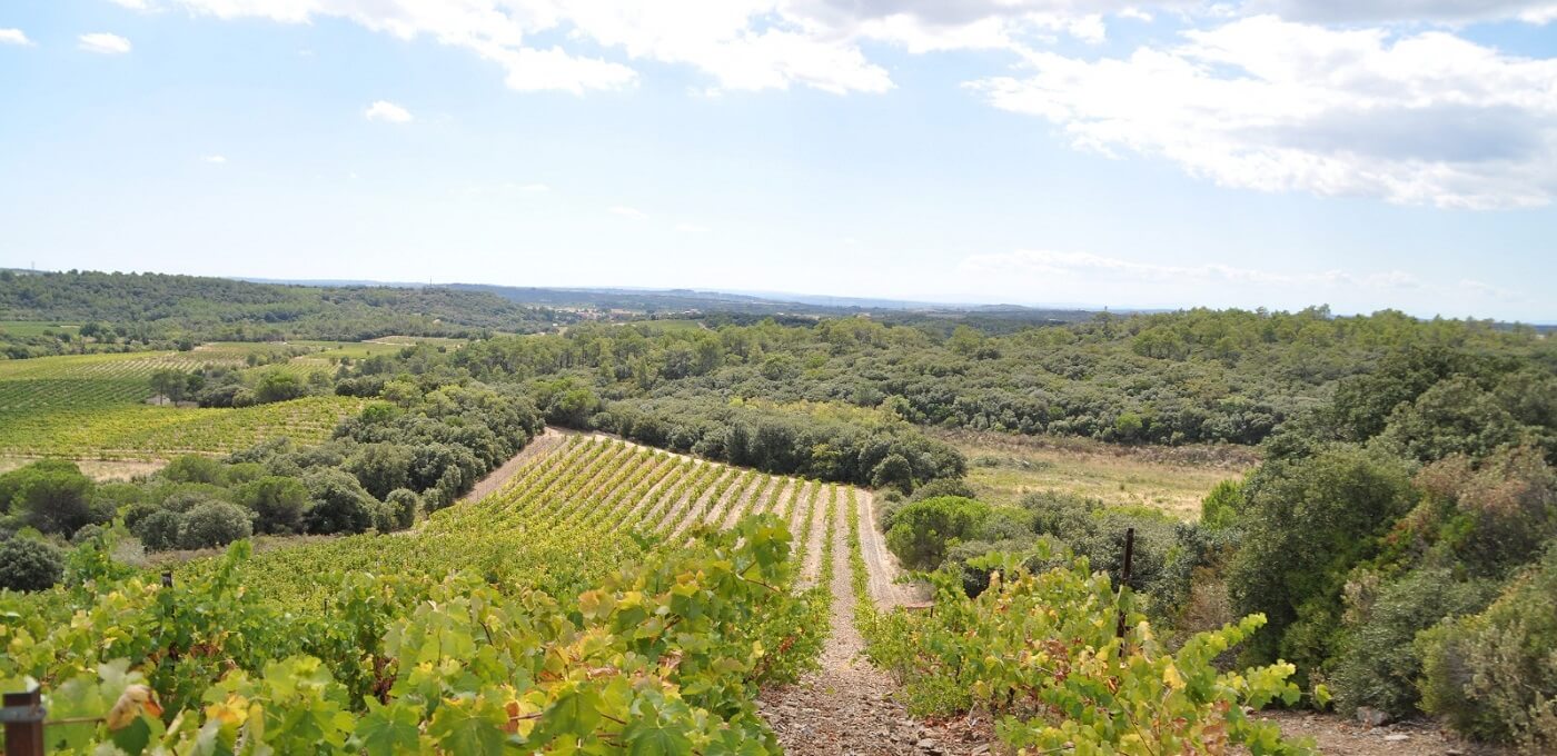 Domaine Valambelle