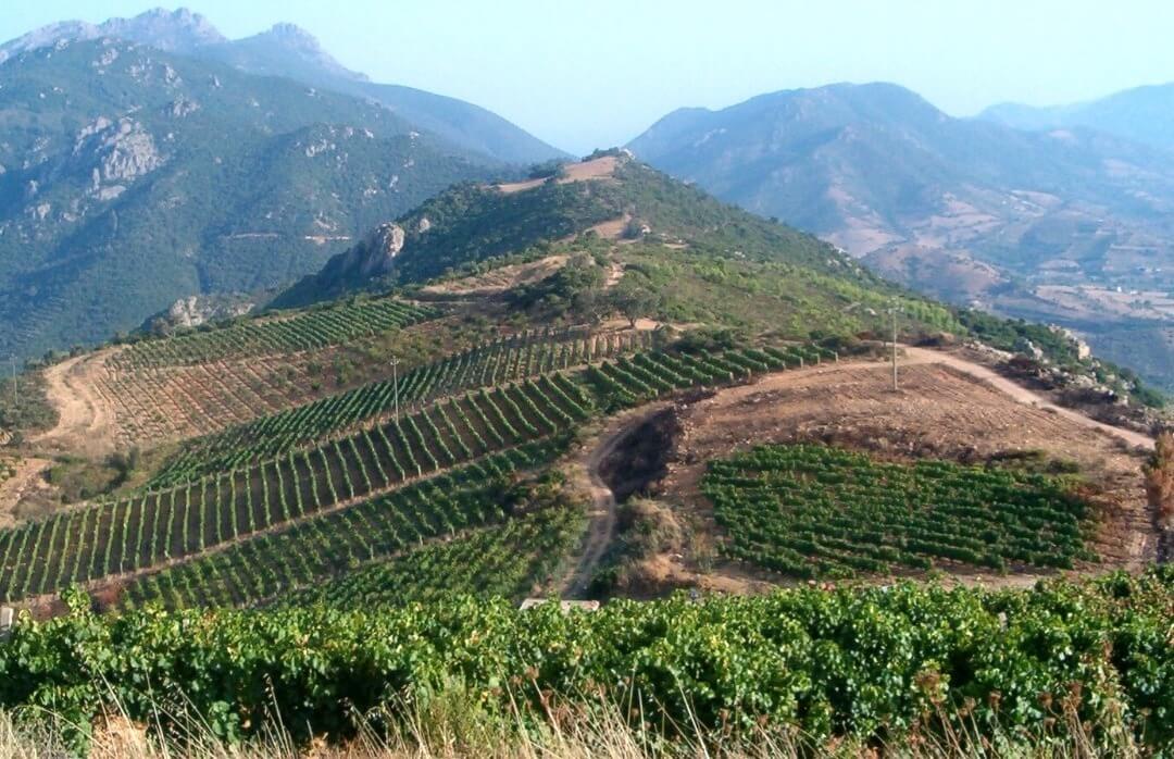 Jerzu Antichi Poderi