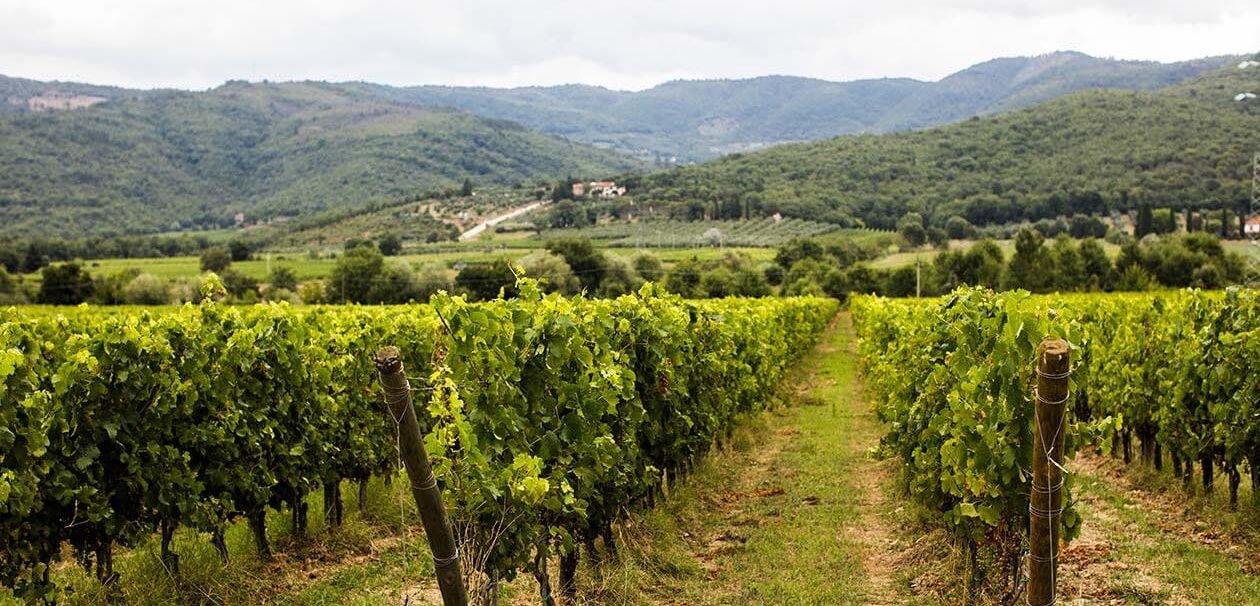 Tenuta Sette Ponti