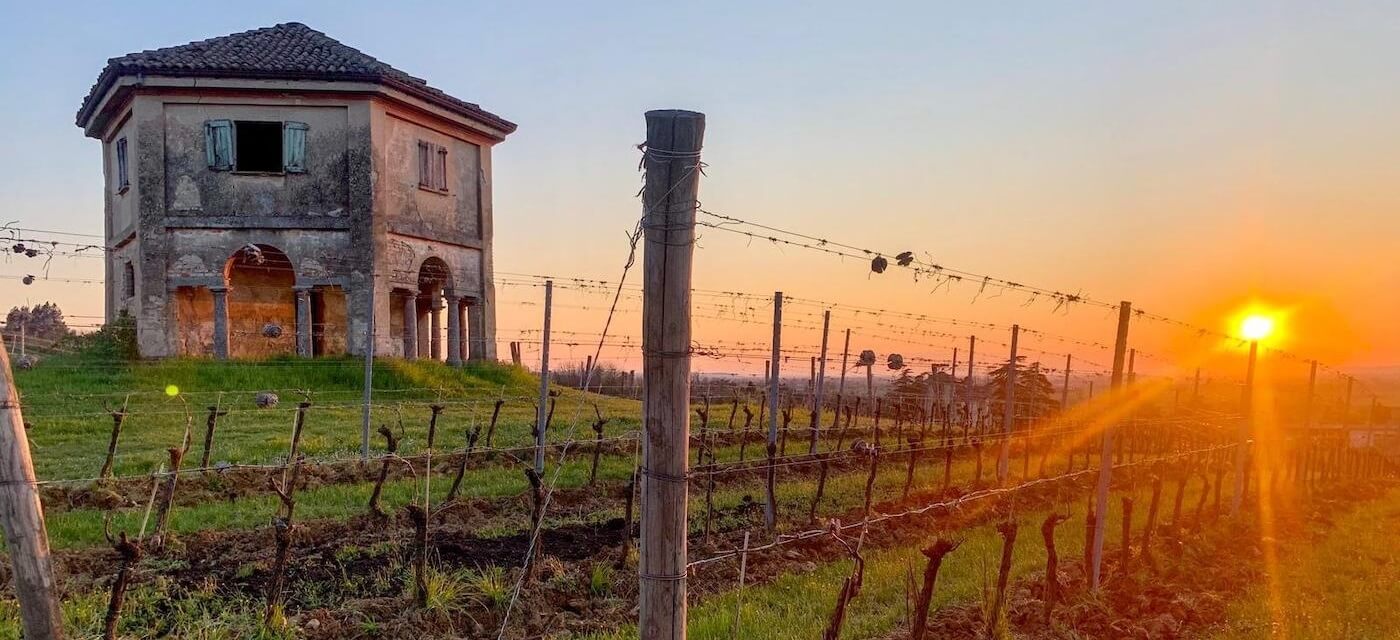 Azienda Agricola Montelio