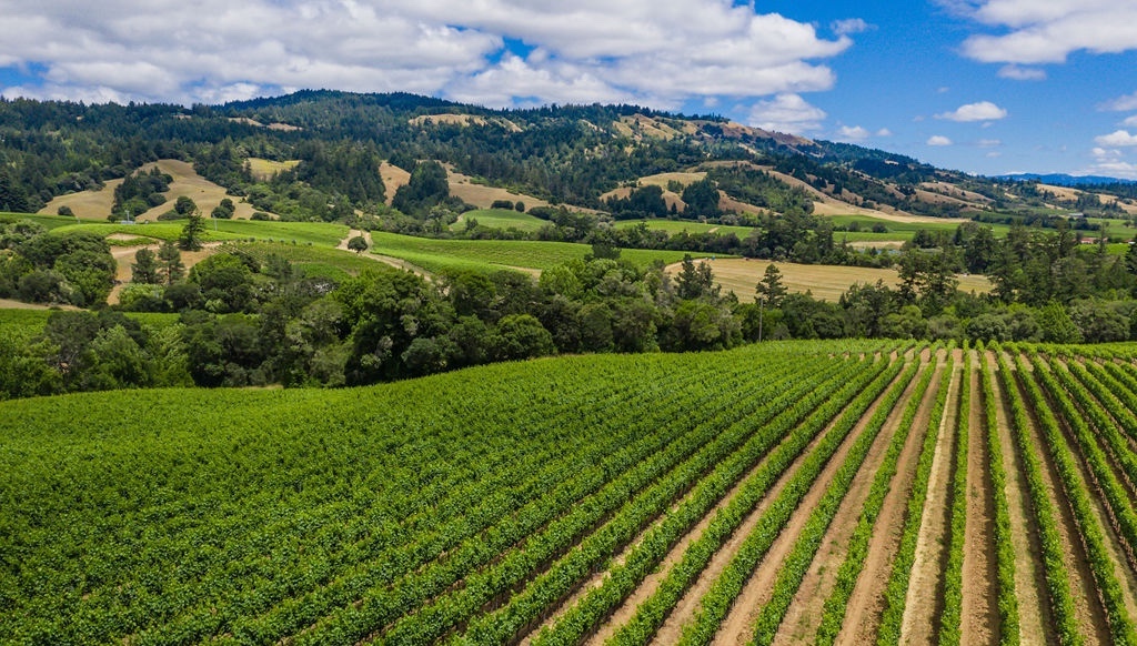 Roederer Estate