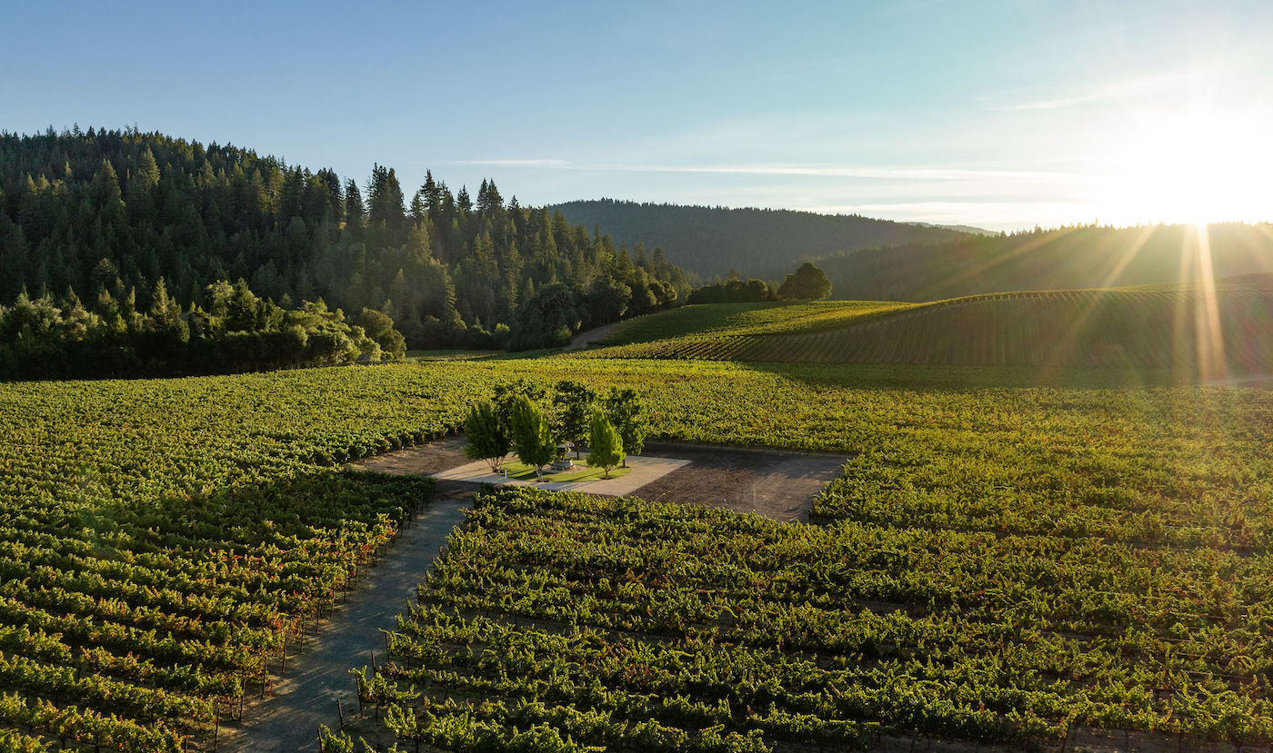Goldeneye Winery