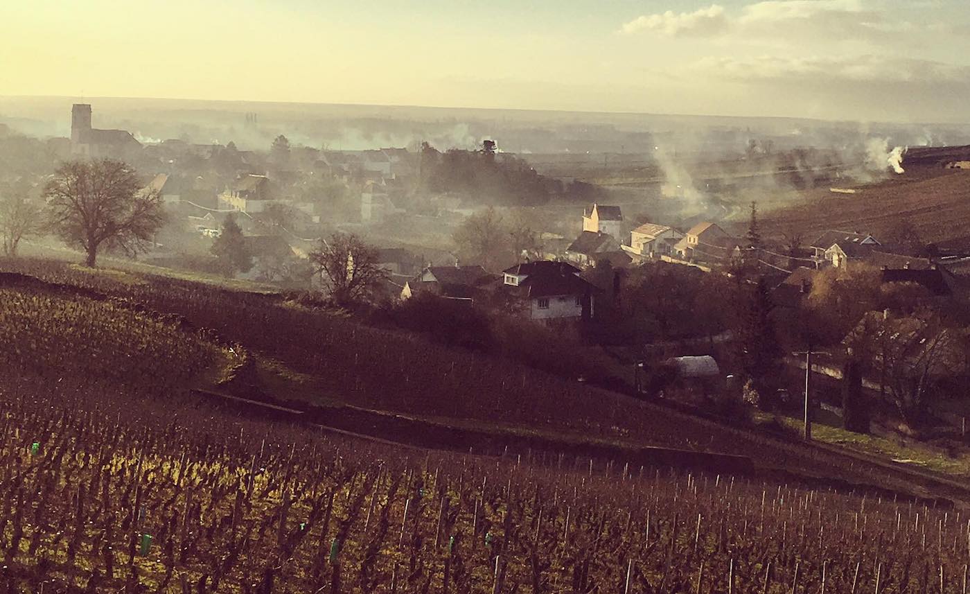 Domaine Violot-Guillemard