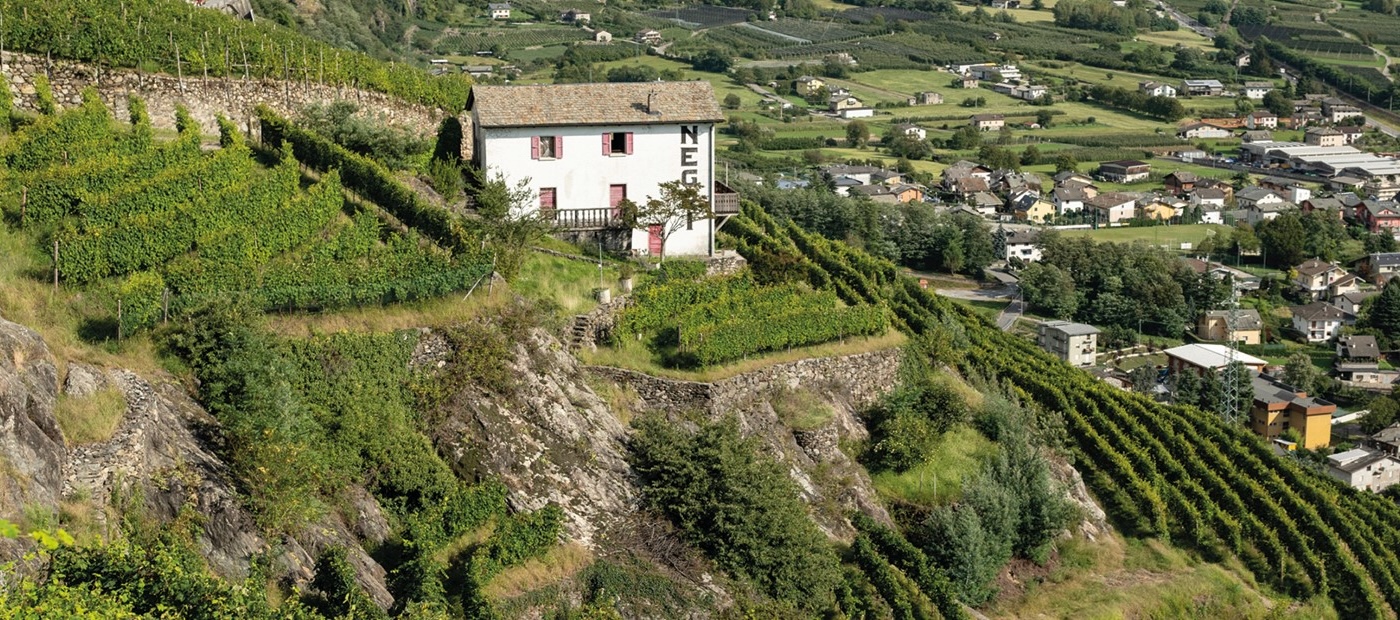 Nino Negri