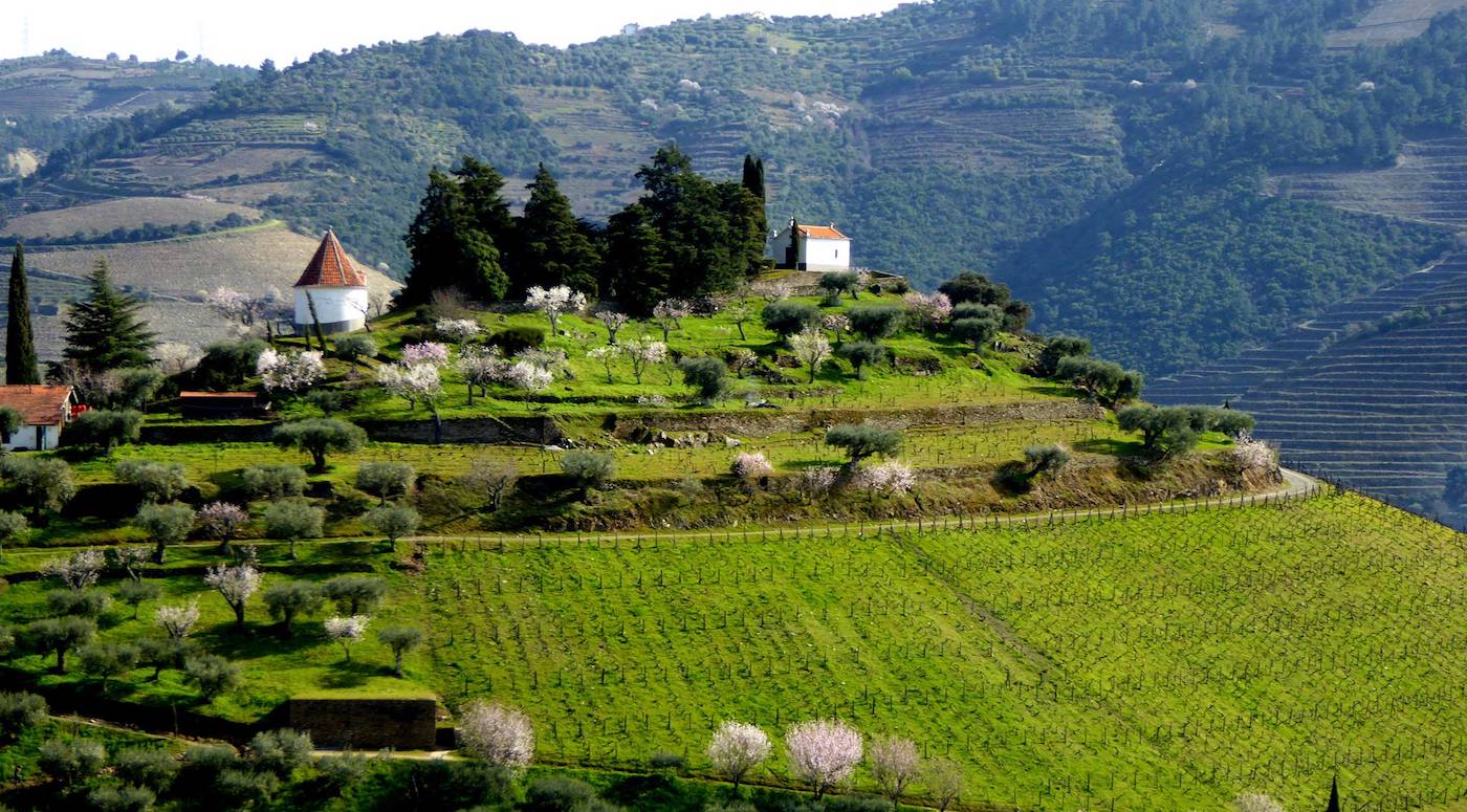 Quinta do Crasto