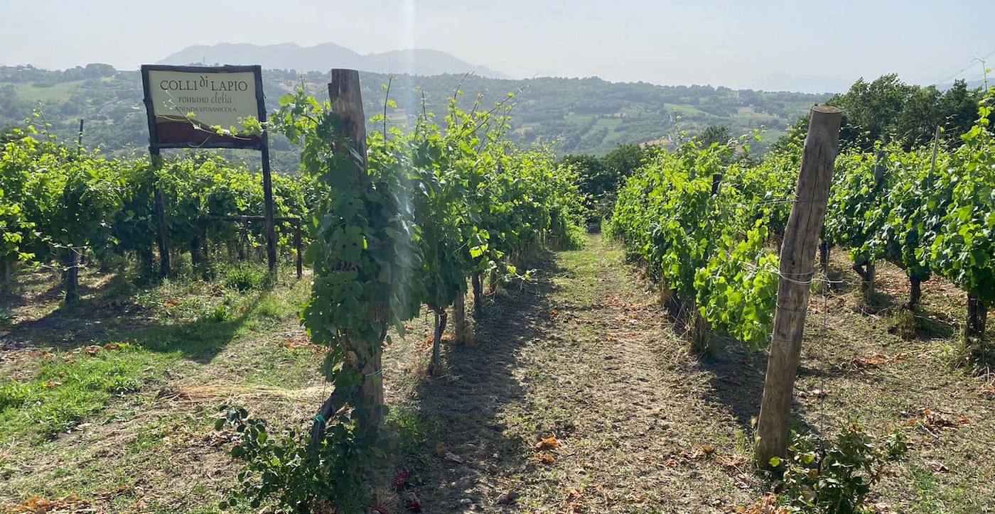 Colli di Lapio Romano Clelia